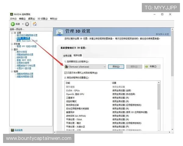 PG国际008正式版下载成功后如何进行游戏设置与性能提升